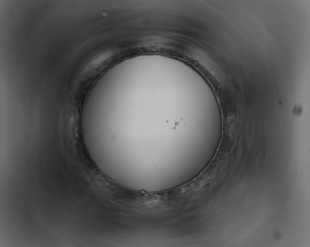 X0000102841111200809021330