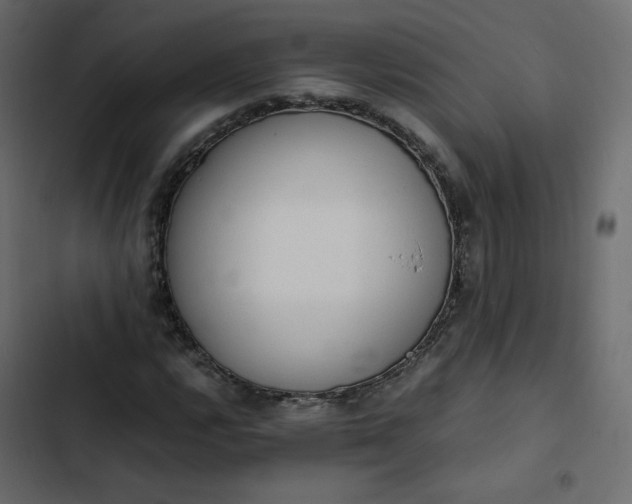 X0000102841112200809021330