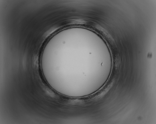 X0000102841113200809021330