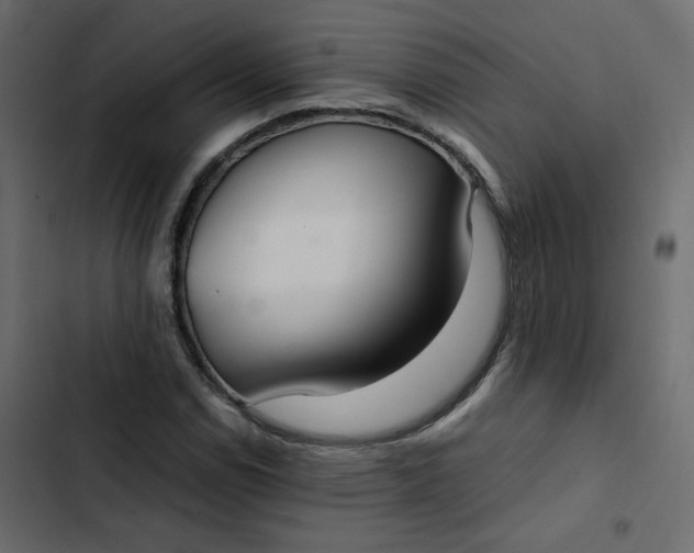 X0000102841114200809021330