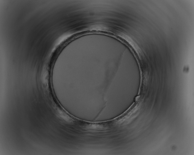 X0000102841115200809021330