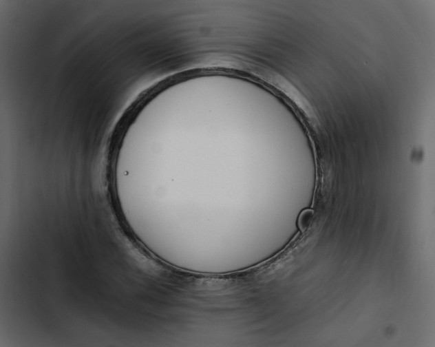 X0000102841116200809021330