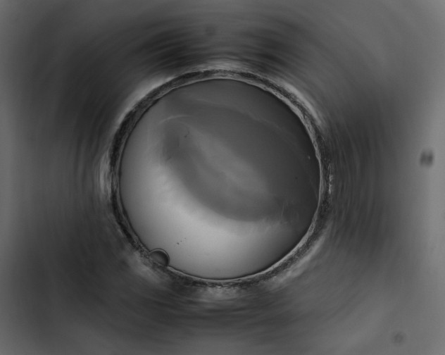 X0000102841117200809021330