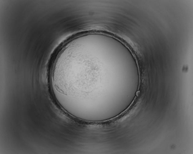 X0000102841118200809021330