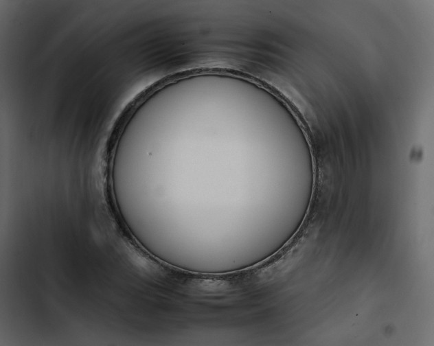 X0000102841119200809021330