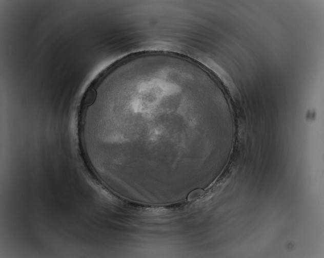 X0000102841120200809021330