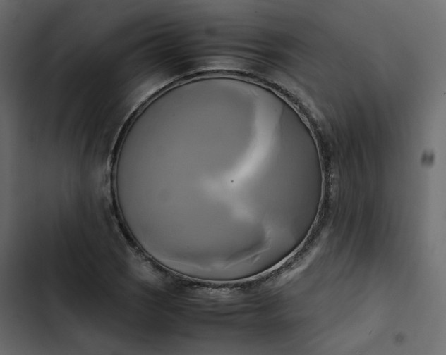 X0000102841121200809021330