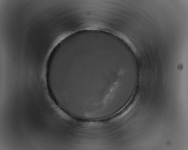 X0000102841122200809021330