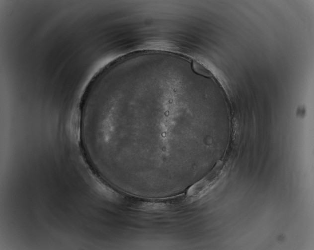 X0000102841123200809021330