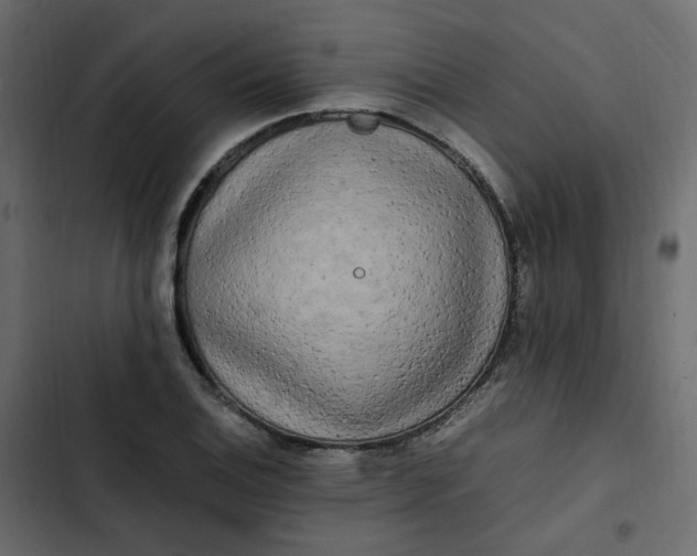 X0000102841124200809021330