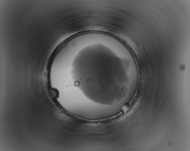 X0000102841125200809021330