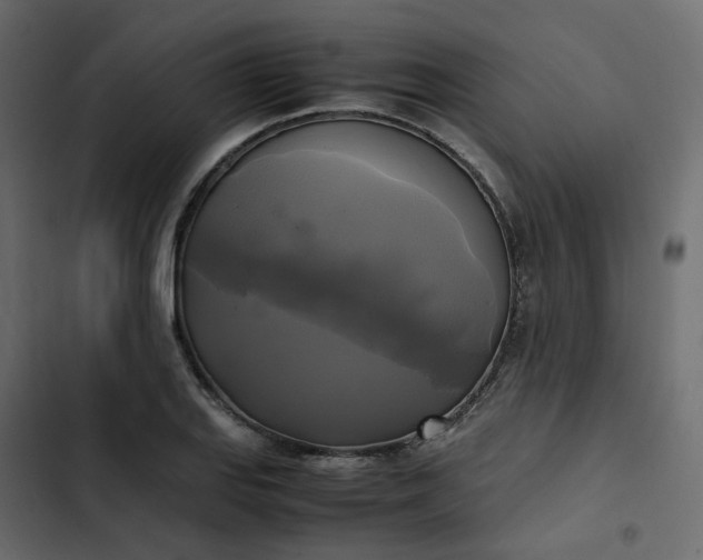 X0000102841127200809021330