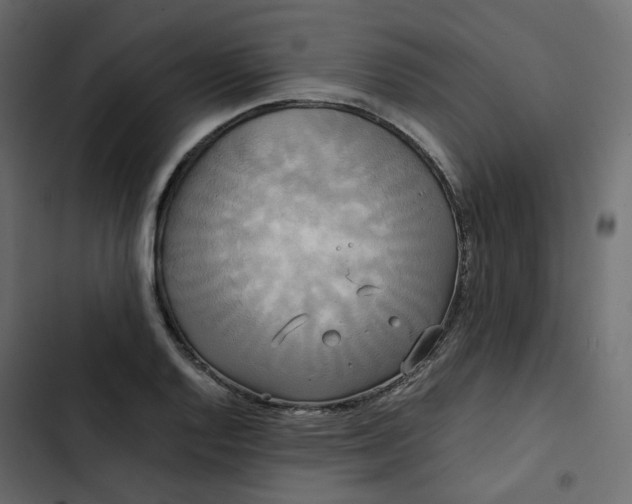 X0000102841128200809021330