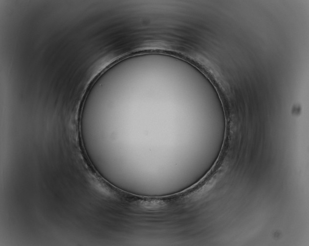 X0000102841129200809021330