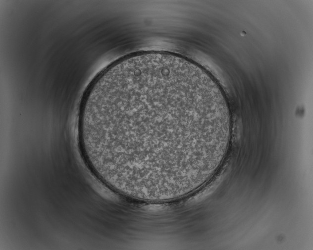 X0000102841130200809021330