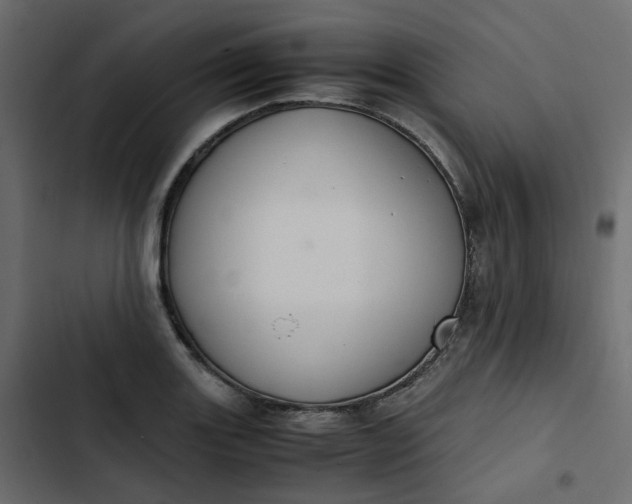 X0000102841131200809021330