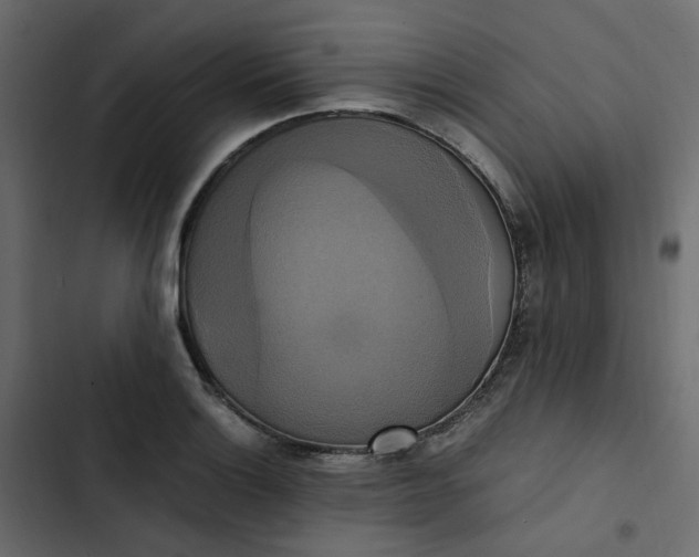 X0000102841132200809021330