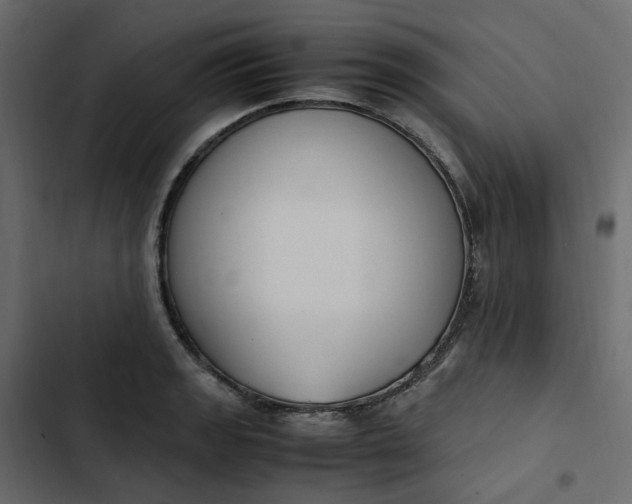 X0000102841133200809021330