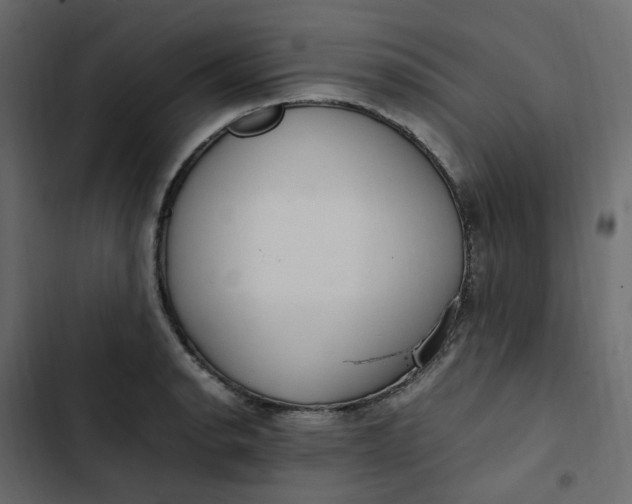 X0000102841134200809021330