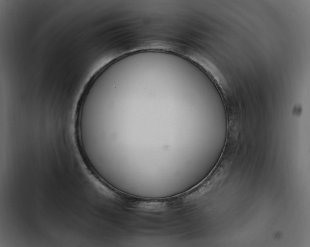 X0000102841135200809021330