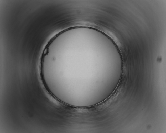 X0000102841136200809021330