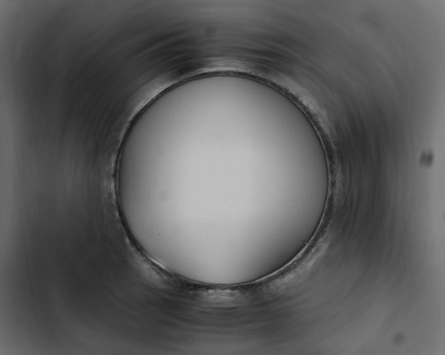 X0000102841137200809021330