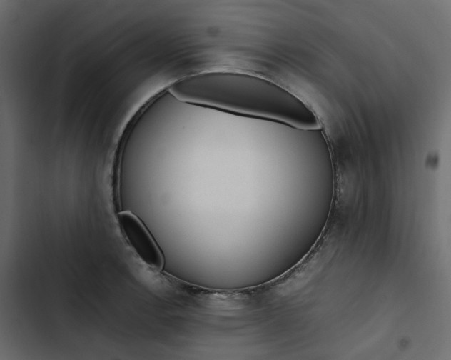 X0000102841138200809021330