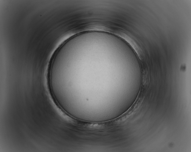 X0000102841139200809021330