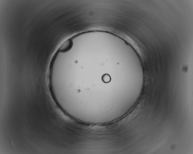 X0000102841140200809021330