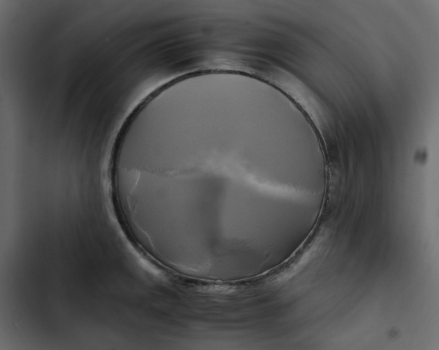 X0000102841141200809021330