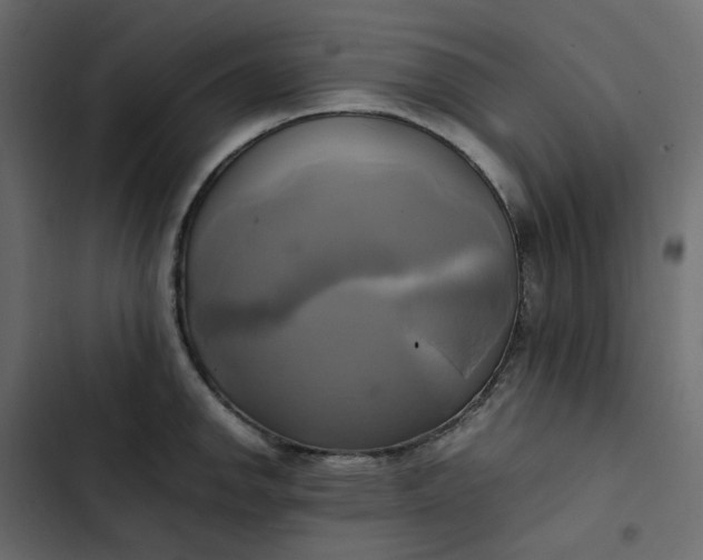 X0000102841142200809021330