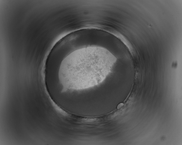 X0000102841143200809021330