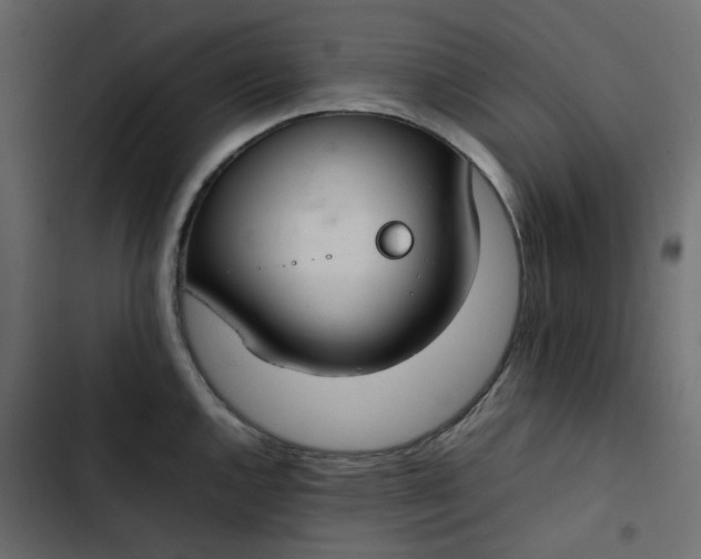 X0000102841144200809021330