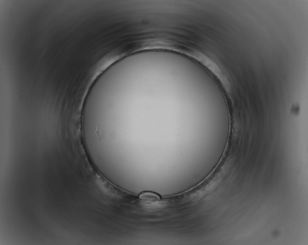 X0000102841145200809021330