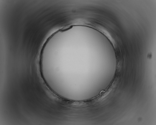 X0000102841146200809021330