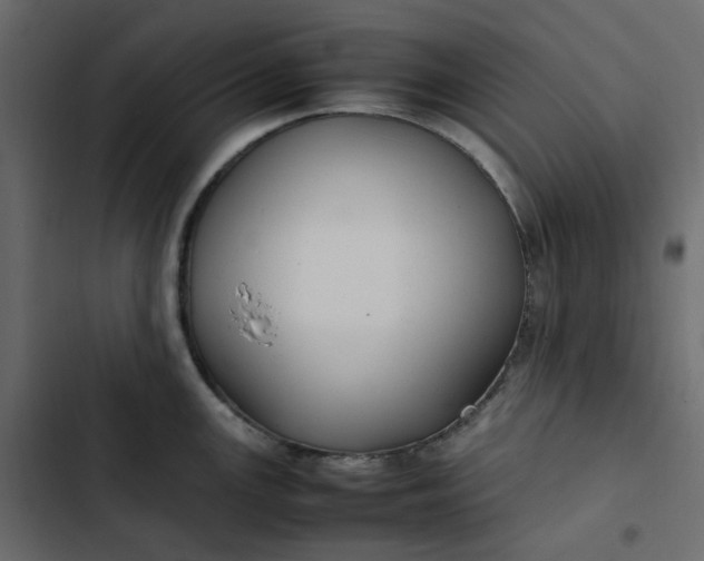 X0000102841147200809021330