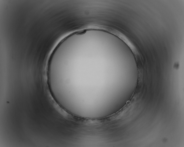 X0000102841148200809021330