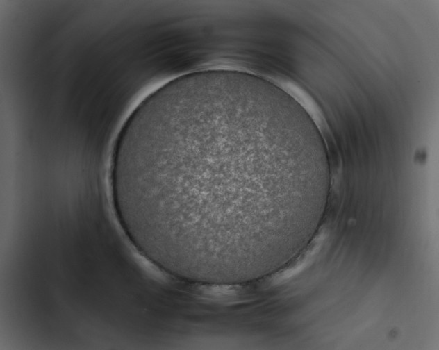 X0000102841149200809021330