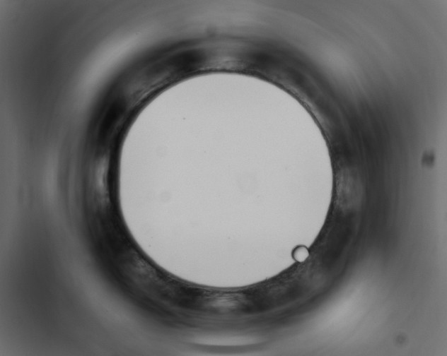 X0000102841150200809021330