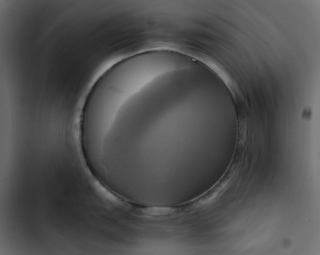 X0000102841151200809021330