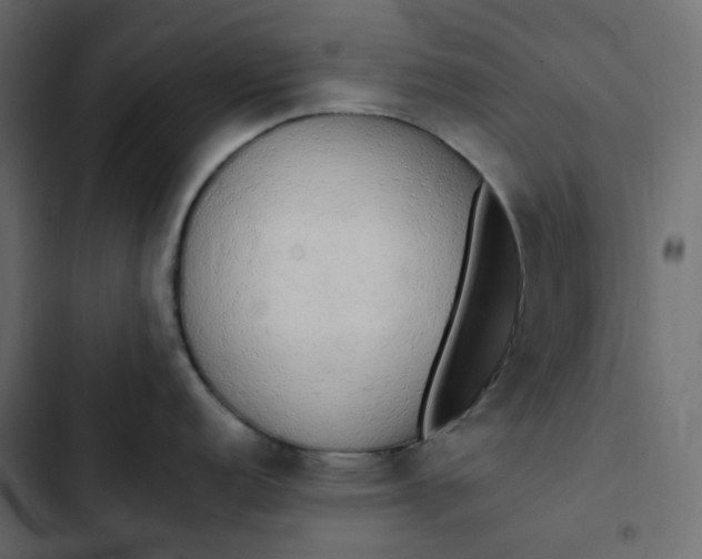 X0000102841152200809021330