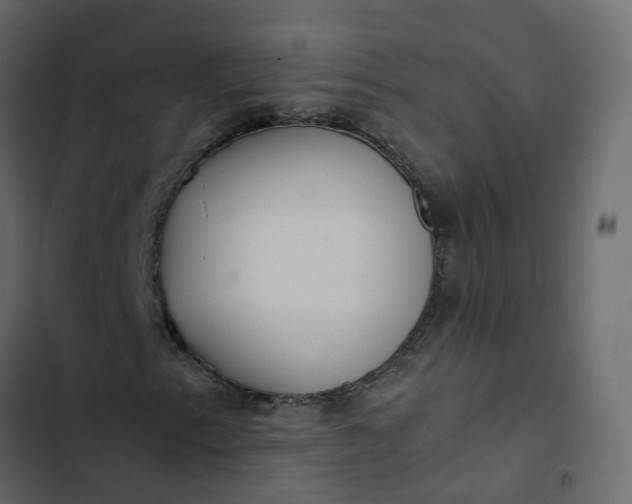 X0000102841153200809021330