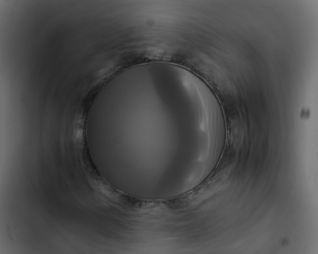 X0000102841154200809021330