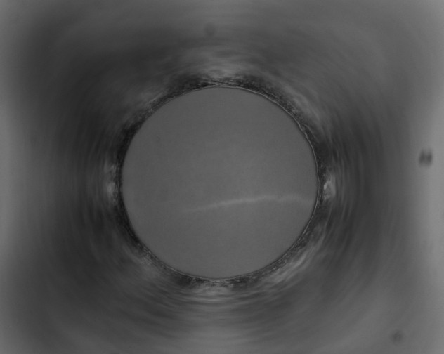 X0000102841156200809021330