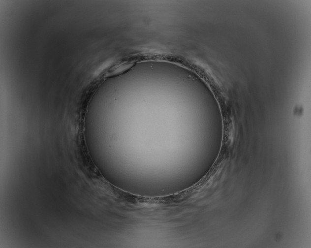 X0000102841157200809021330