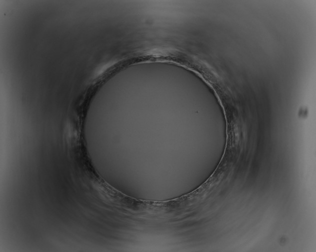 X0000102841158200809021330