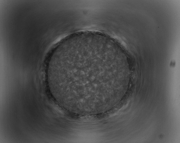 X0000102841159200809021330