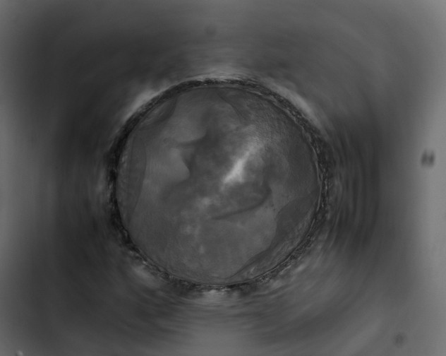 X0000102841160200809021330