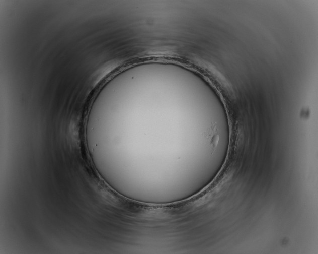 X0000102841162200809021330