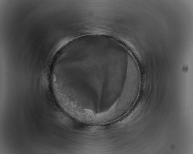 X0000102841163200809021330